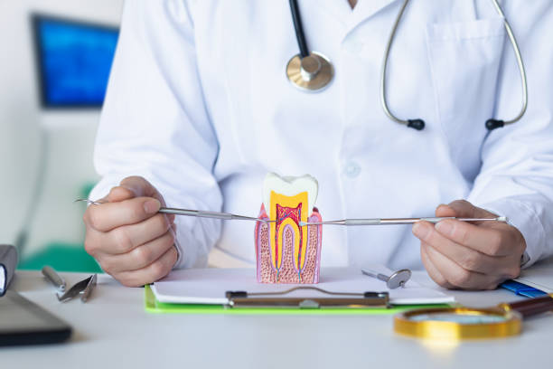 Best Emergency Tooth Extraction in Chester Heights, PA